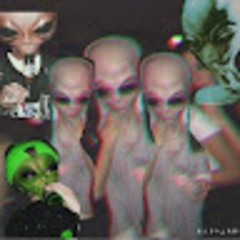 Meet your Posher, Bussin